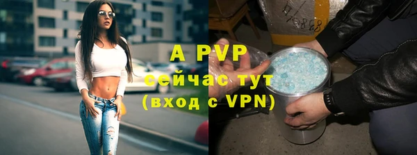 не бодяженный Ладушкин