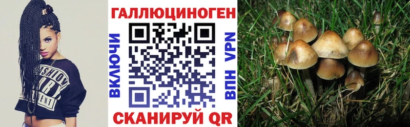 блэк спрут зеркало  как найти наркотики  Уварово  Псилоцибиновые грибы прущие грибы 